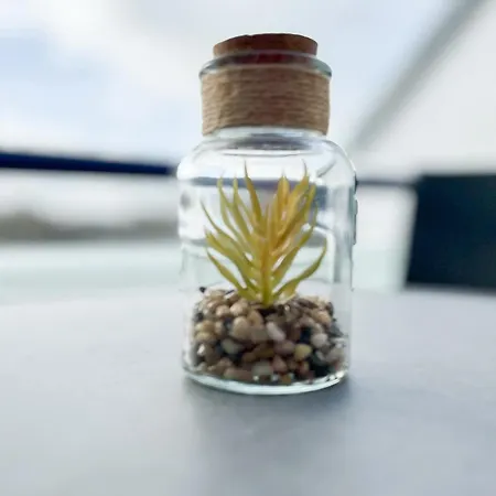 Haffblick 65 Apartment *